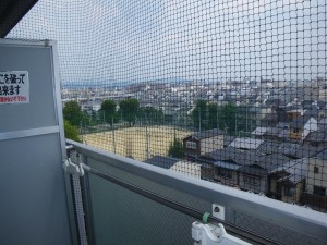 賃貸マンションの鳩対策｜京都市 イメージ