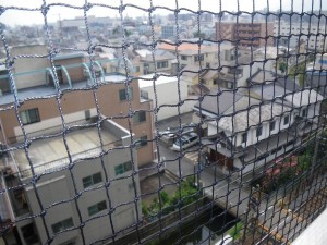 賃貸マンションの鳩対策｜京都市スライダー2