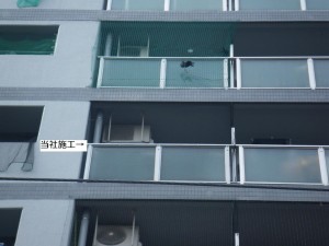 賃貸マンションの鳩対策｜京都市スライダー3