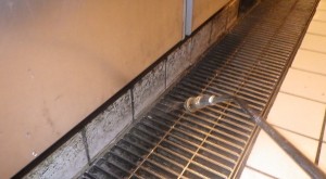 飲食店のゴキブリ定期点検　京都市内スライダー2