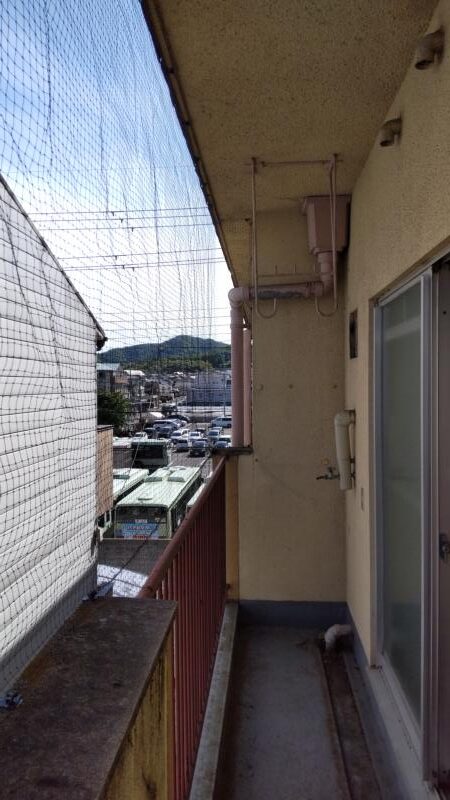 マンションの防鳥工事｜京都市北区スライダー3