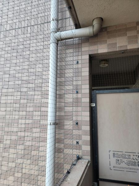 マンションの鳩対策、バルコニー防鳥工事｜滋賀県近江八幡市スライダー3