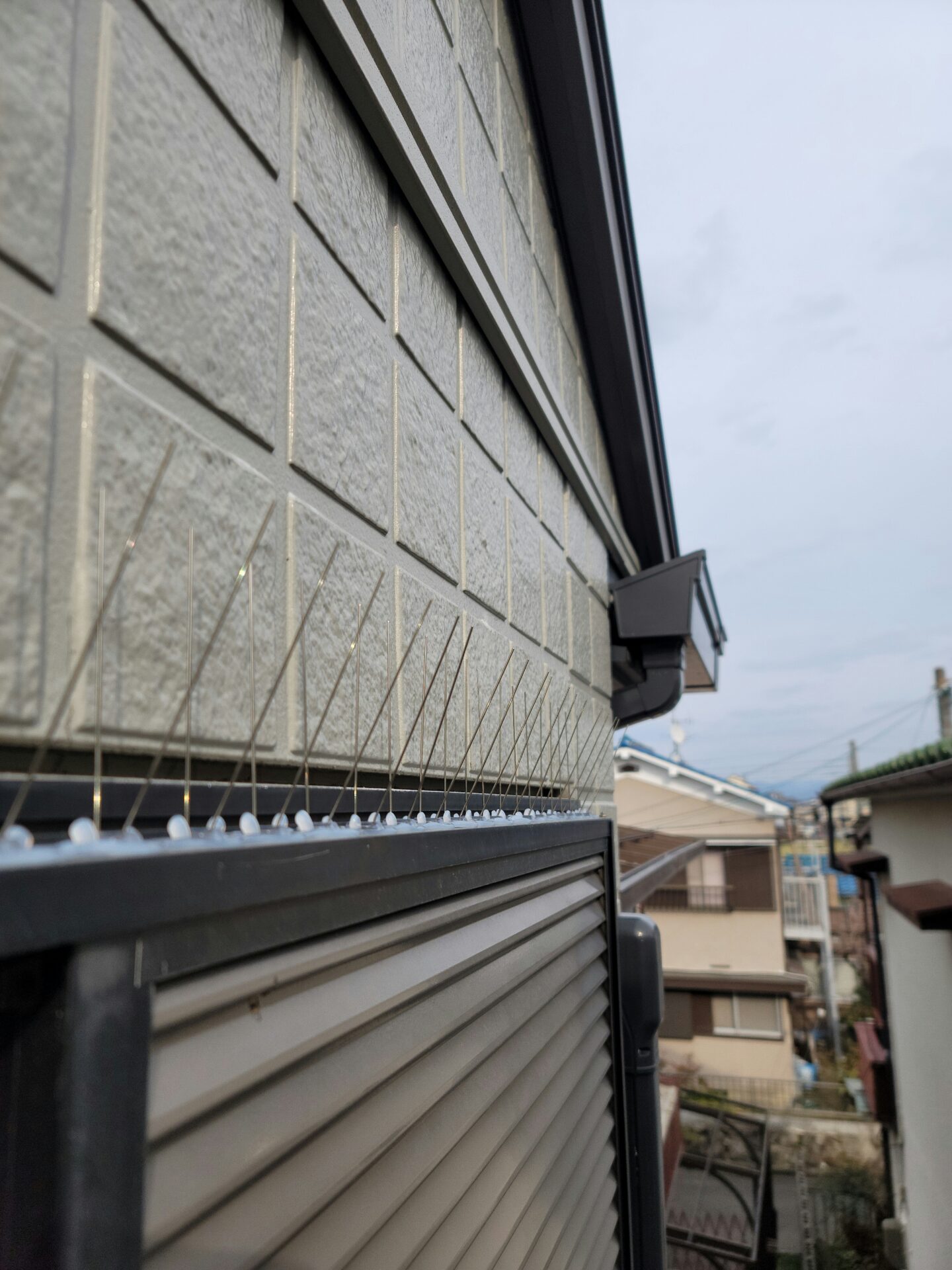 戸建住宅の防鳥対策（剣山設置作業）｜奈良県大和高田市スライダー2
