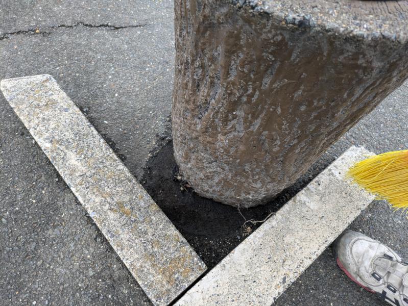 セアカゴケグモ駆除作業｜京都市伏見区スライダー2