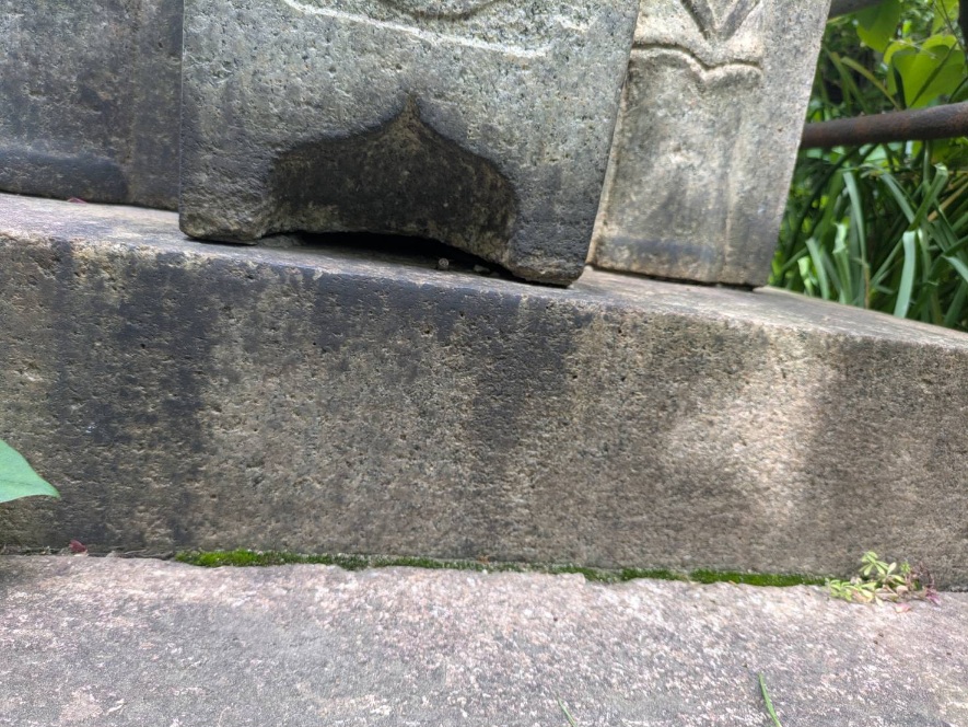 お寺の蜂営巣撤去作業（蜜蜂）/京都市中京区スライダー1