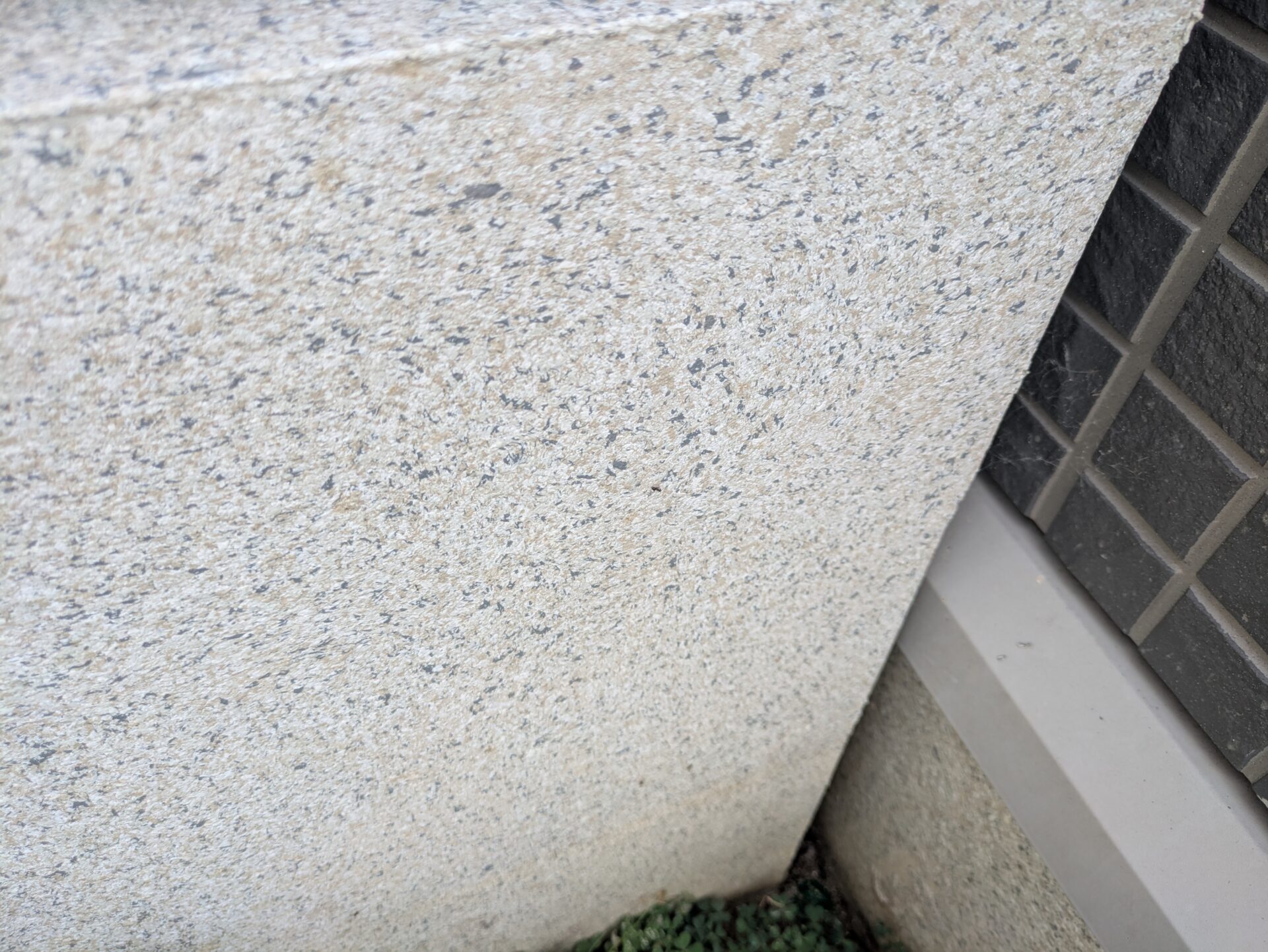 集合住宅のアリ調査｜京都市左京区 イメージ