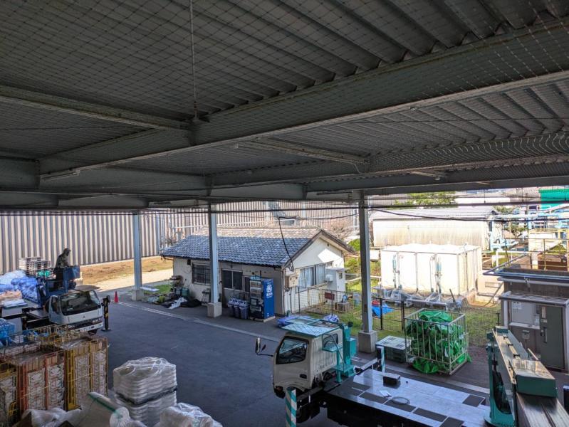 工場のハト対策｜滋賀県守山市 イメージ