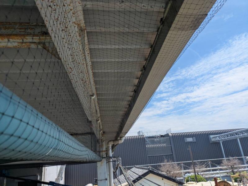 工場のハト対策｜滋賀県守山市スライダー2