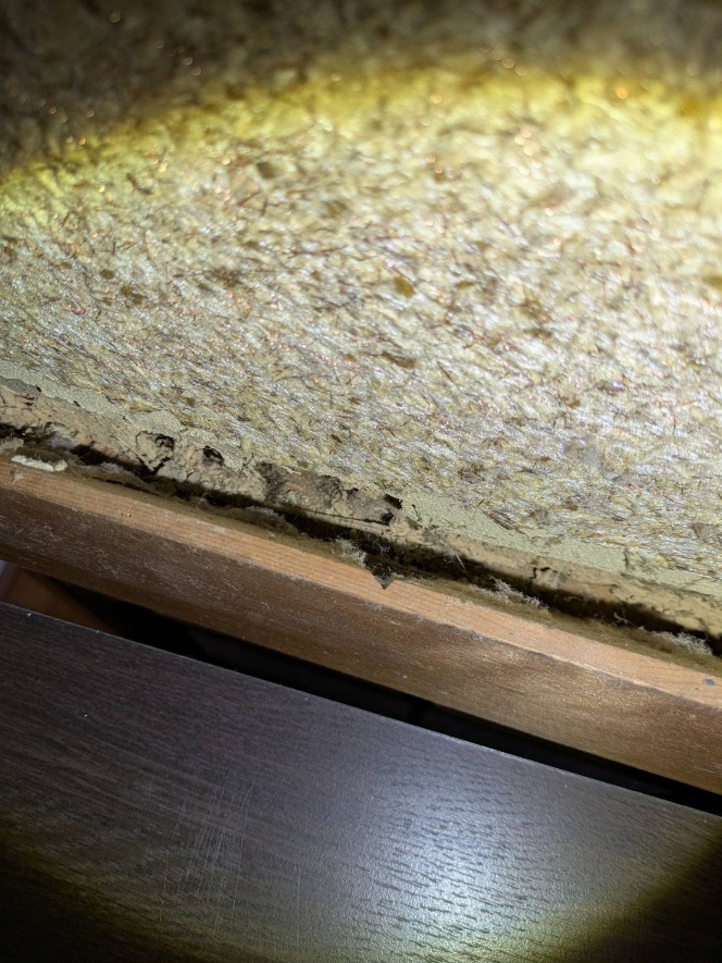 戸建住宅のネズミ侵入口閉鎖作業｜京都府京丹後市スライダー3