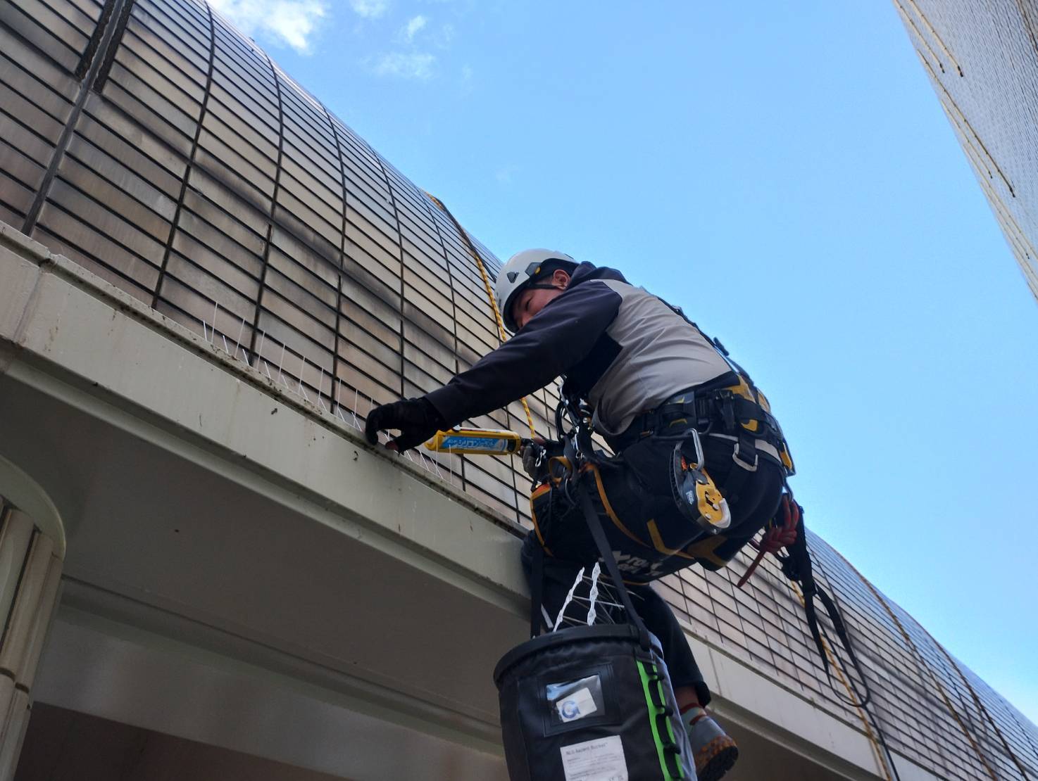 公共施設の防鳥工事/兵庫県神戸市スライダー1