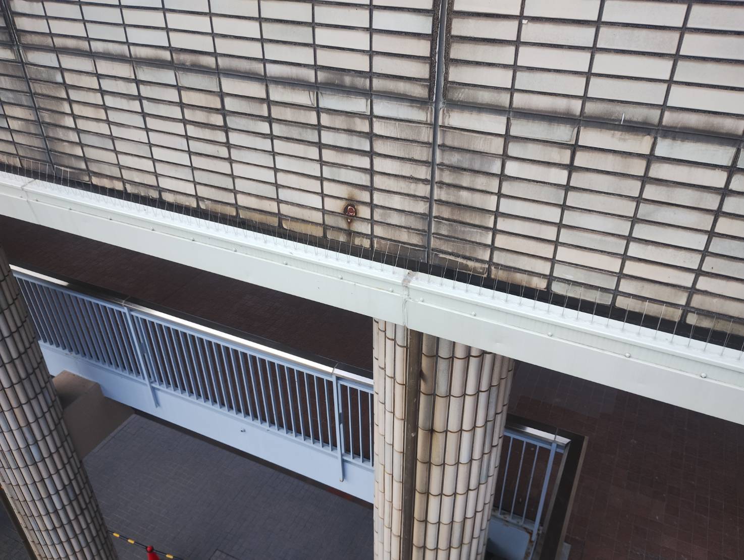 公共施設の防鳥工事/兵庫県神戸市スライダー3