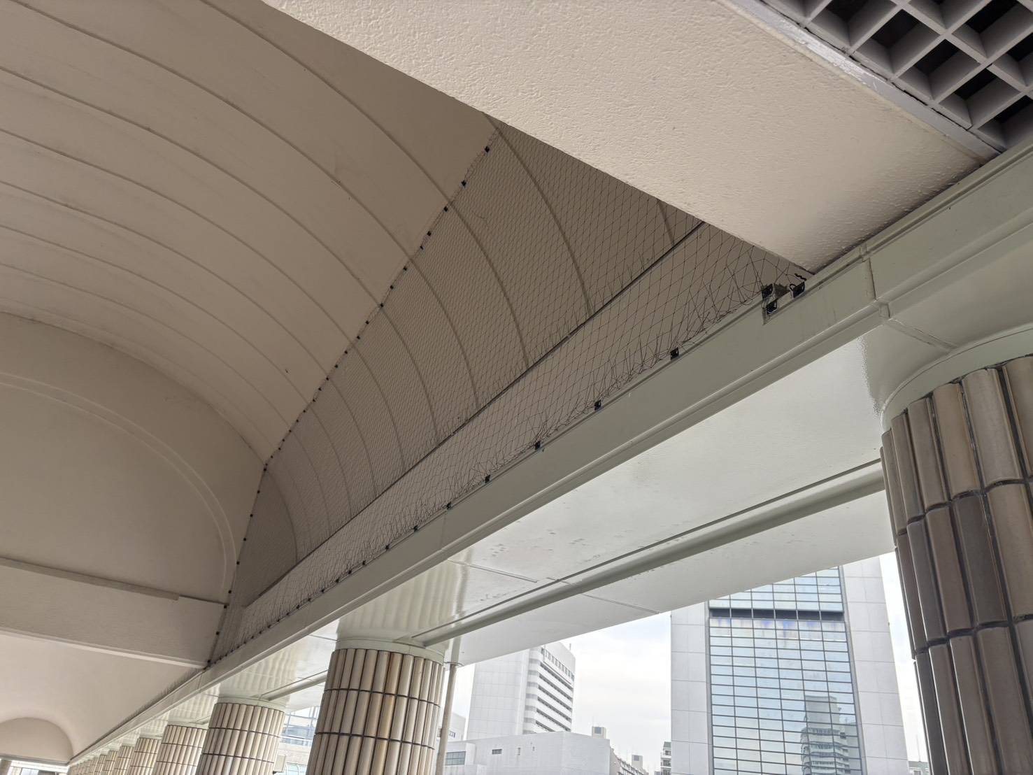 公共施設の防鳥工事/兵庫県神戸市スライダー5