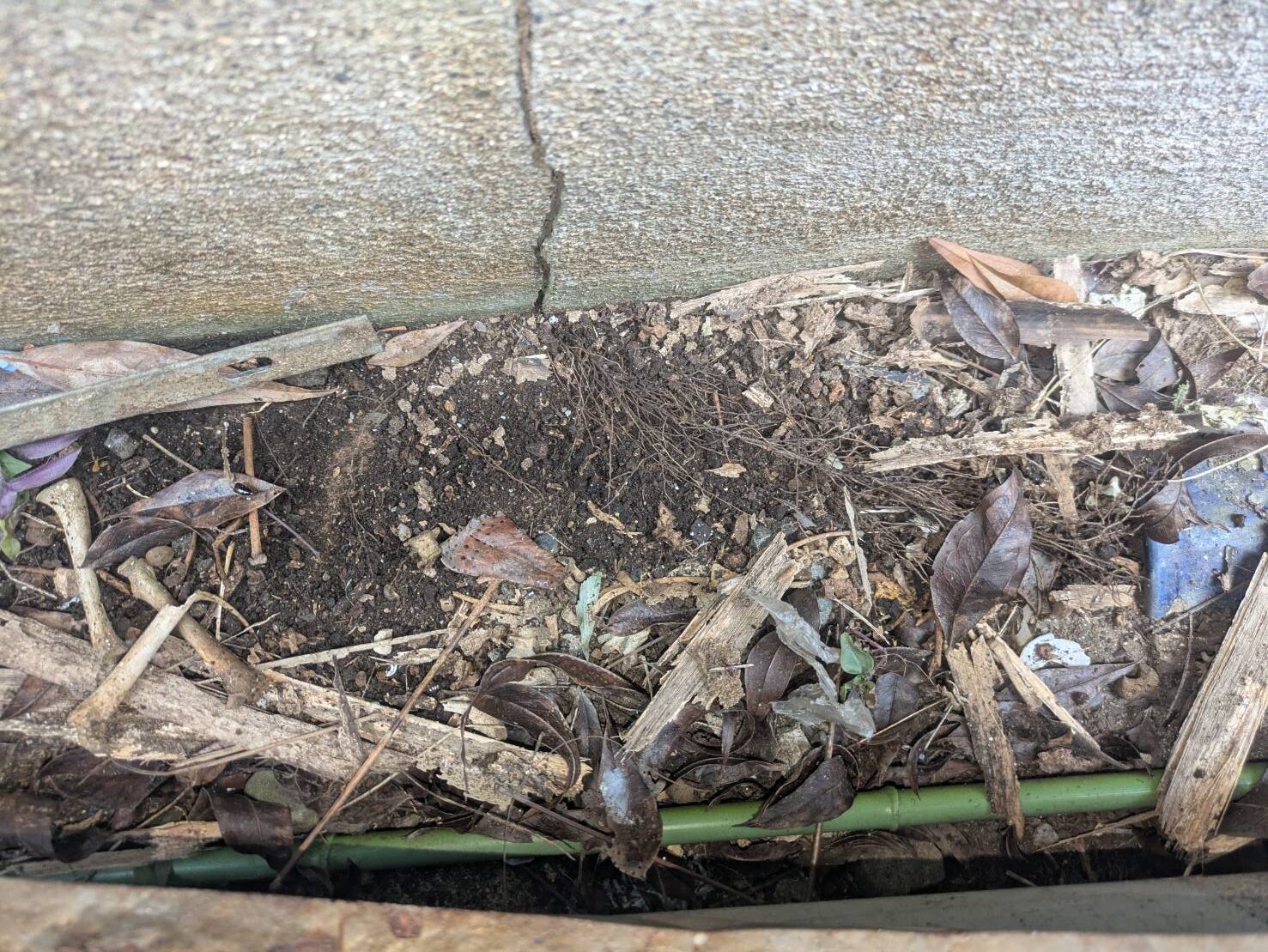 住宅シロアリ防除作業/京都市右京区スライダー2