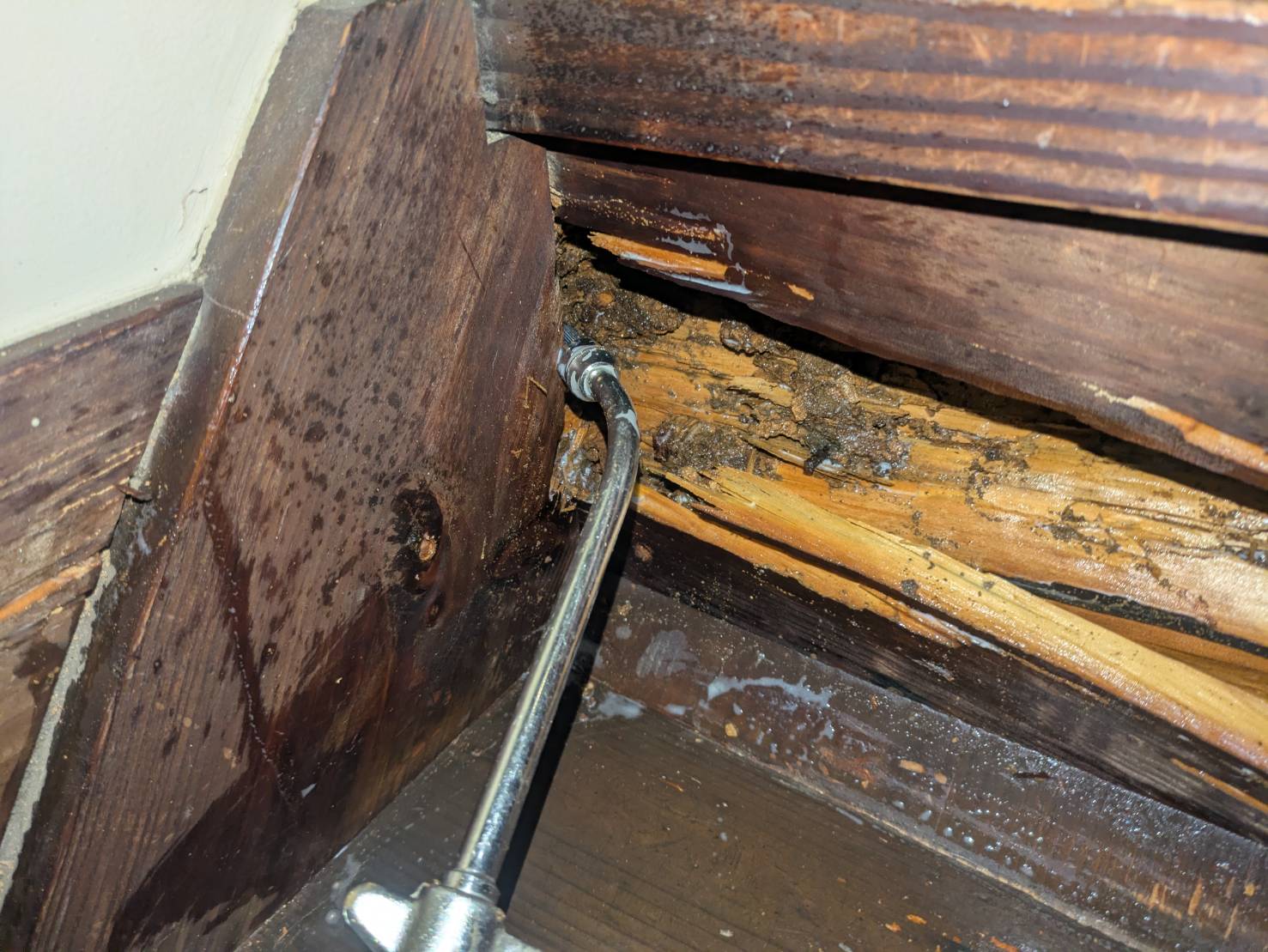 住宅シロアリ防除作業/京都市右京区スライダー3