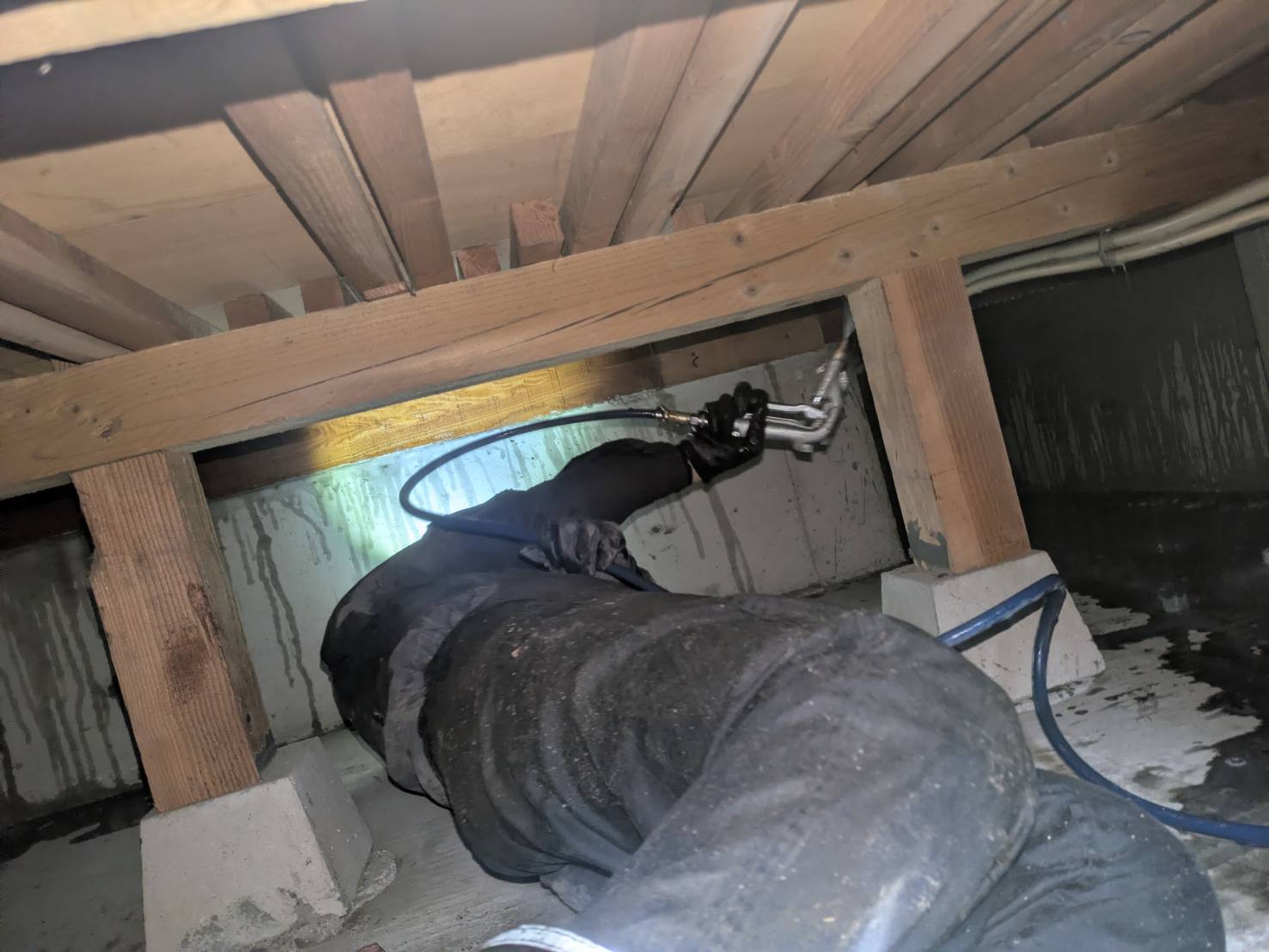 一軒家白蟻防除作業/京都市伏見区 イメージ