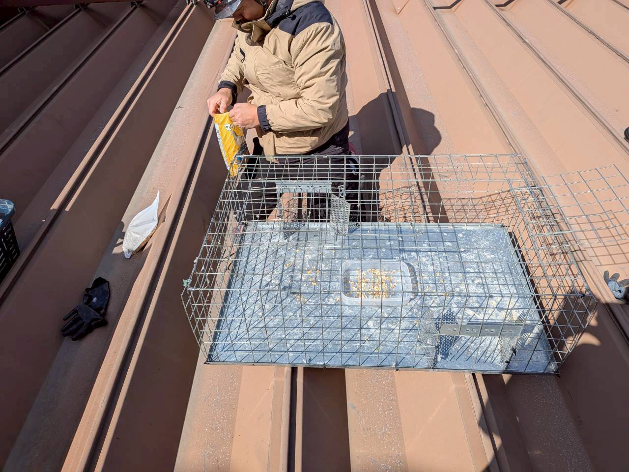 某機械部品工場ハト捕獲作業/滋賀県栗東市スライダー2