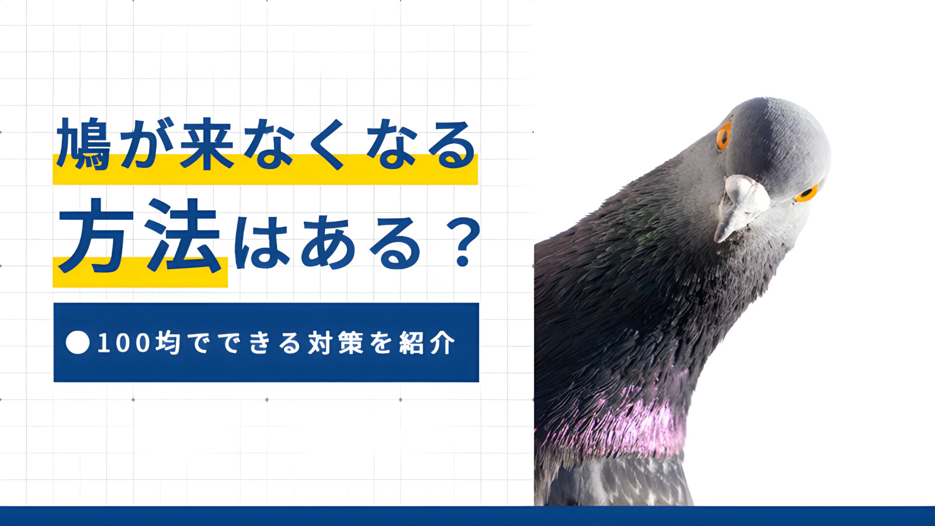 鳩が来なくなる方法はある？100均でできる対策を紹介
