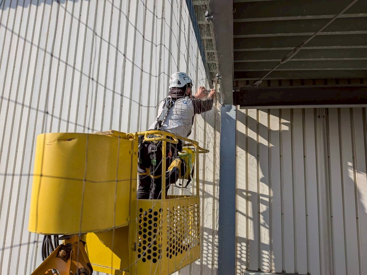 某食品メーカー防鳥ネット張り替え及び補修作業/兵庫県神戸市スライダー3