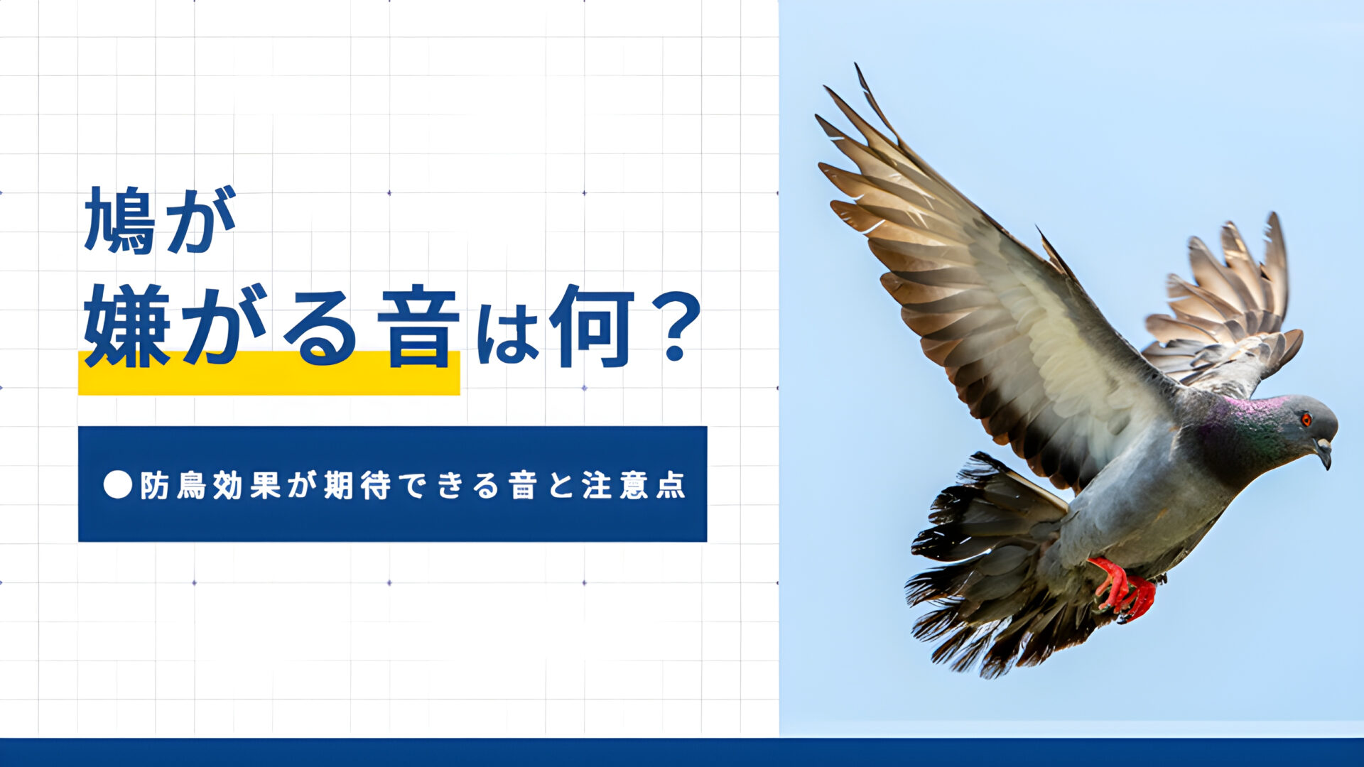 鳩が嫌がる音は何?防鳥効果が期待できる音と注意点