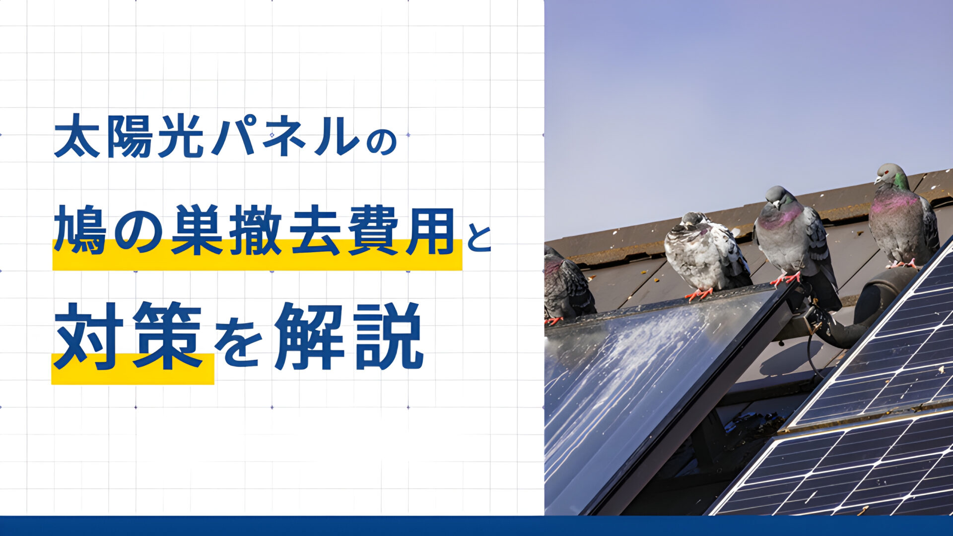 太陽光パネルの鳩の巣撤去費用と対策を解説
