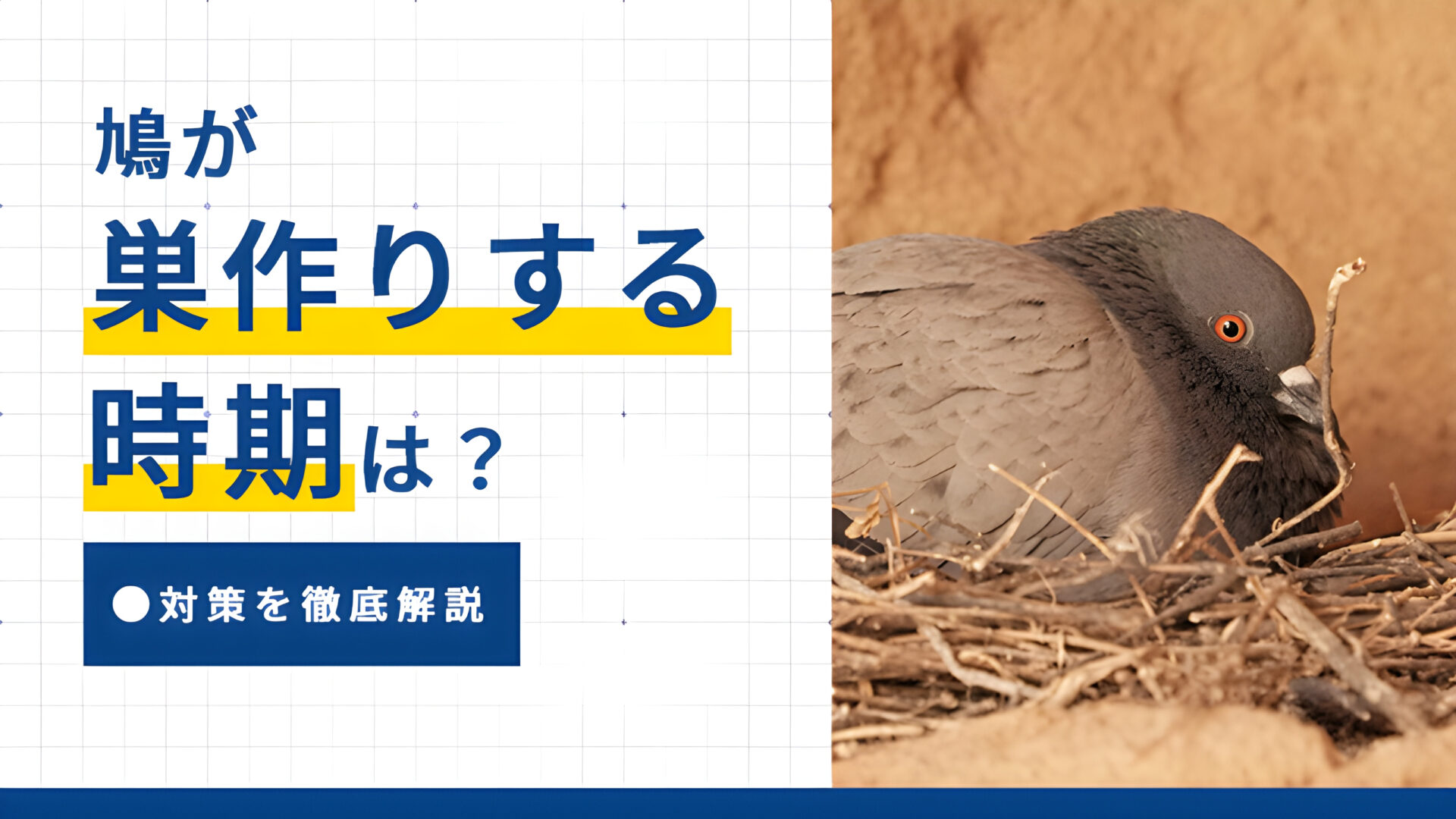 鳩が巣作りする時期と対策を徹底解説
