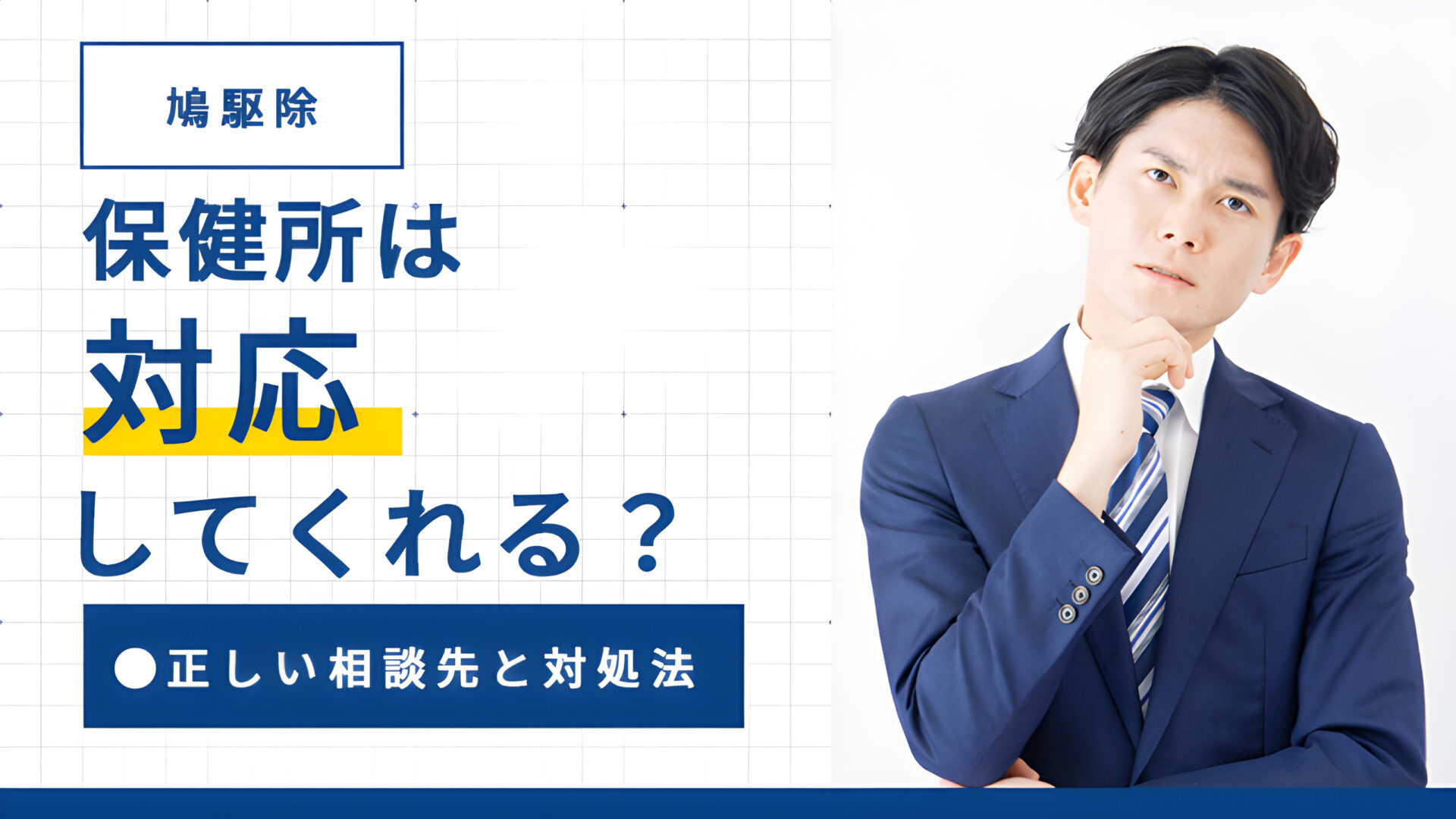 【鳩駆除】保健所は対応してくれる？正しい相談先と対処法
