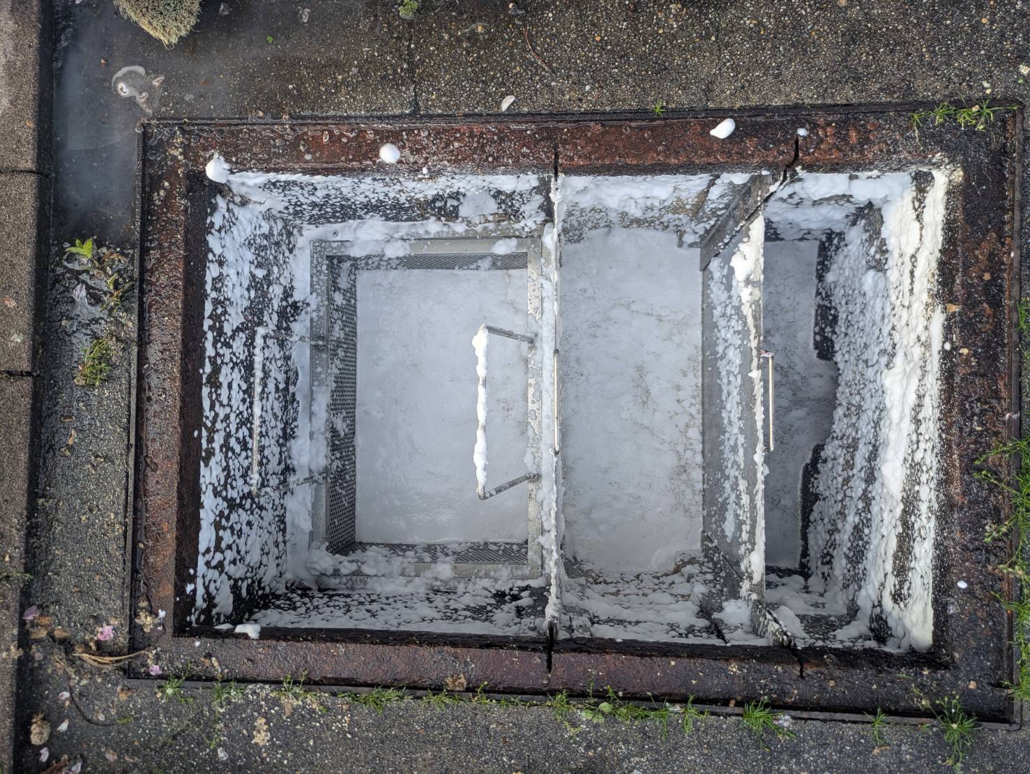 給食厨房害虫防除作業/京都市伏見区スライダー5