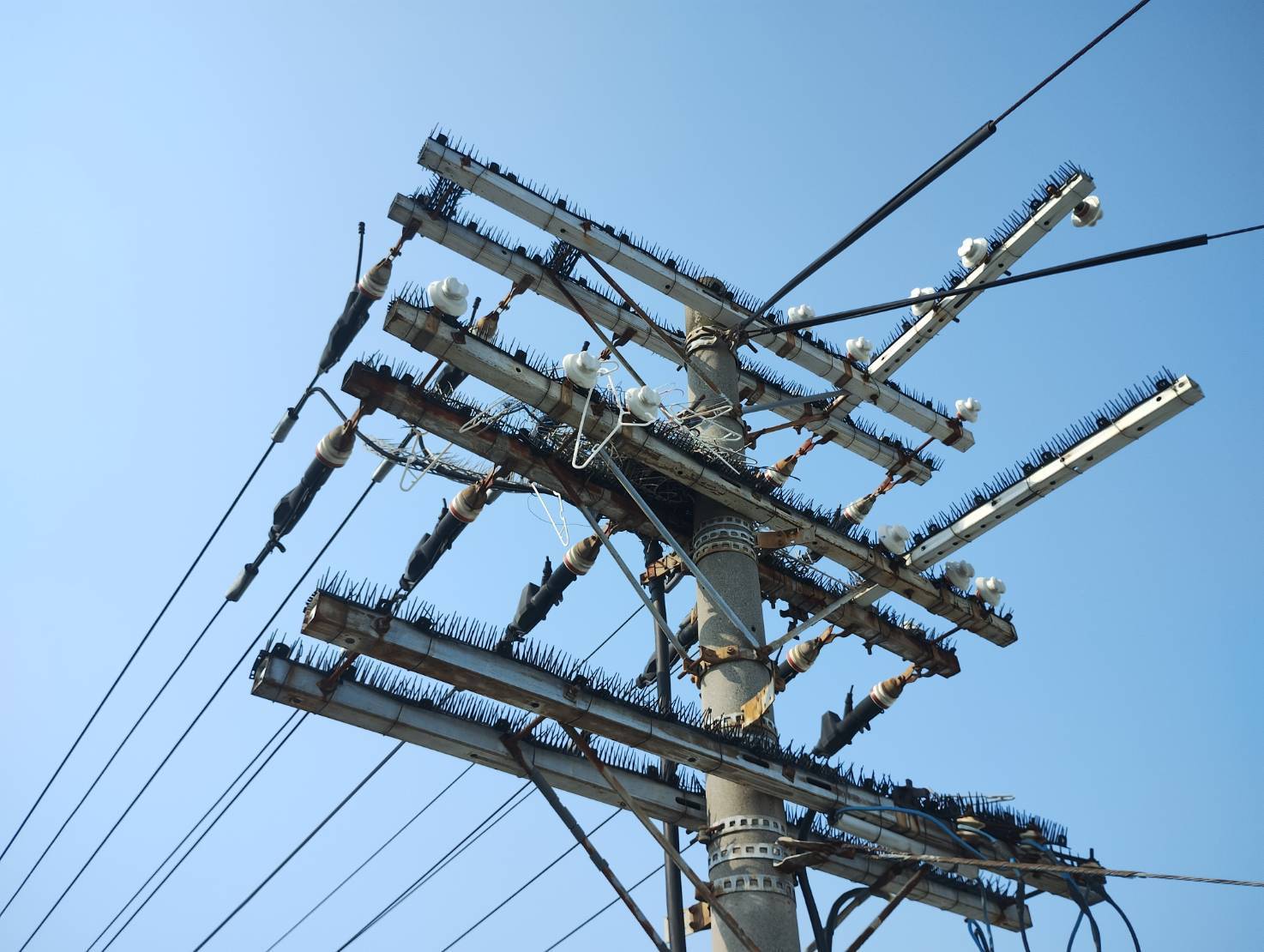 カラス営巣除去作業/大阪市西成区 イメージ