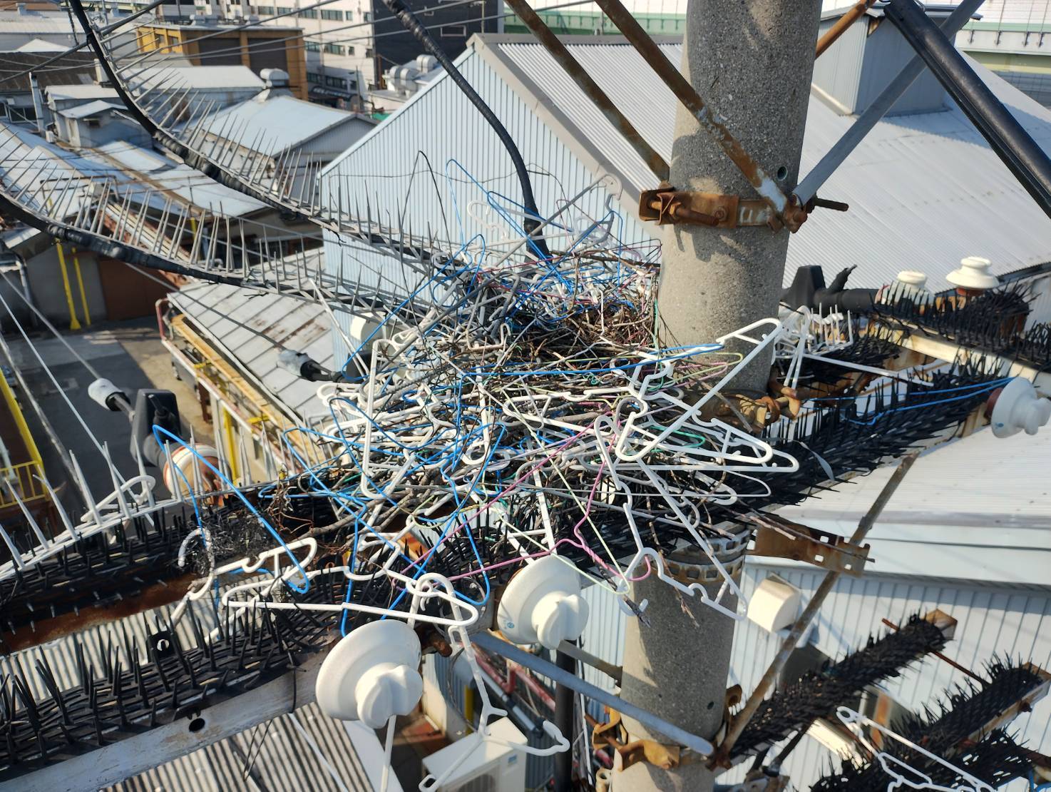 カラス営巣除去作業/大阪市西成区スライダー2