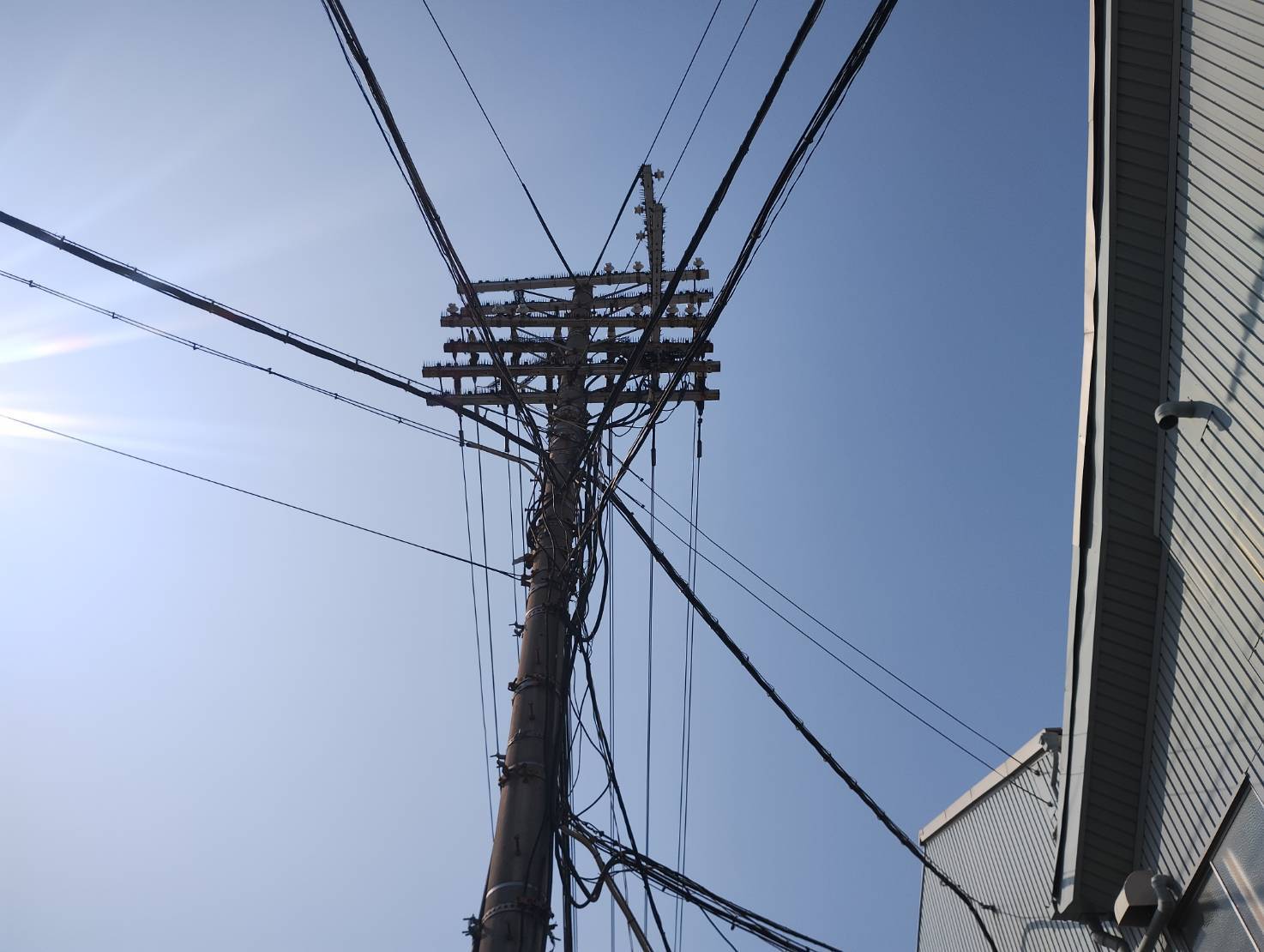 カラス営巣除去作業/大阪市西成区スライダー4