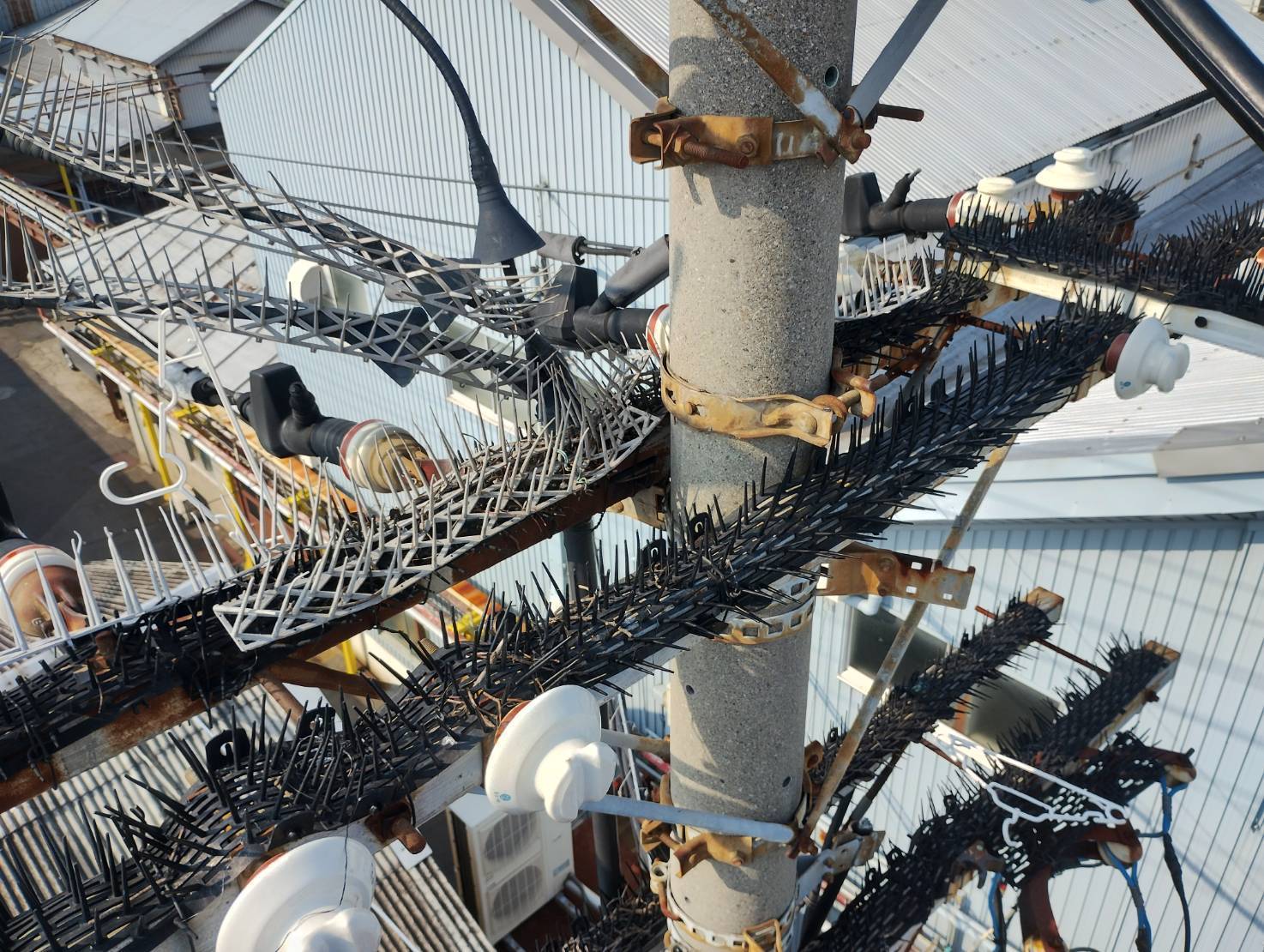 カラス営巣除去作業/大阪市西成区スライダー3