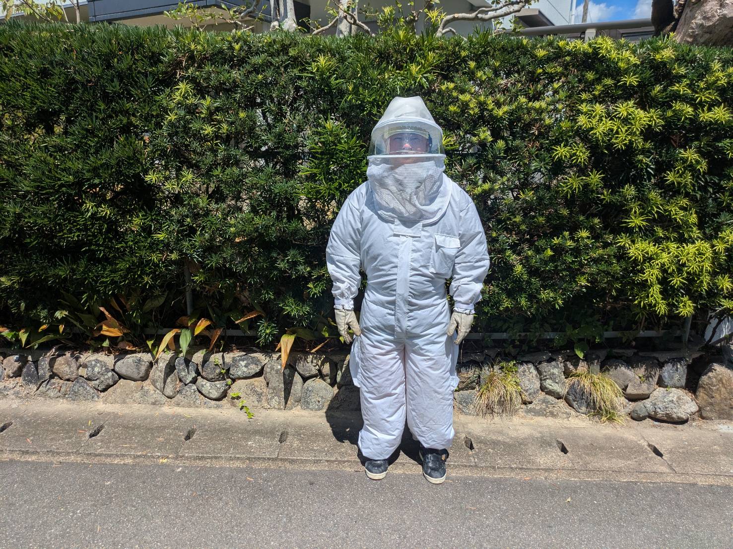 戸建て庭の竹やぶで発見されたスズメバチ巣の撤去・駆除施工事例／京都市西京区 イメージ