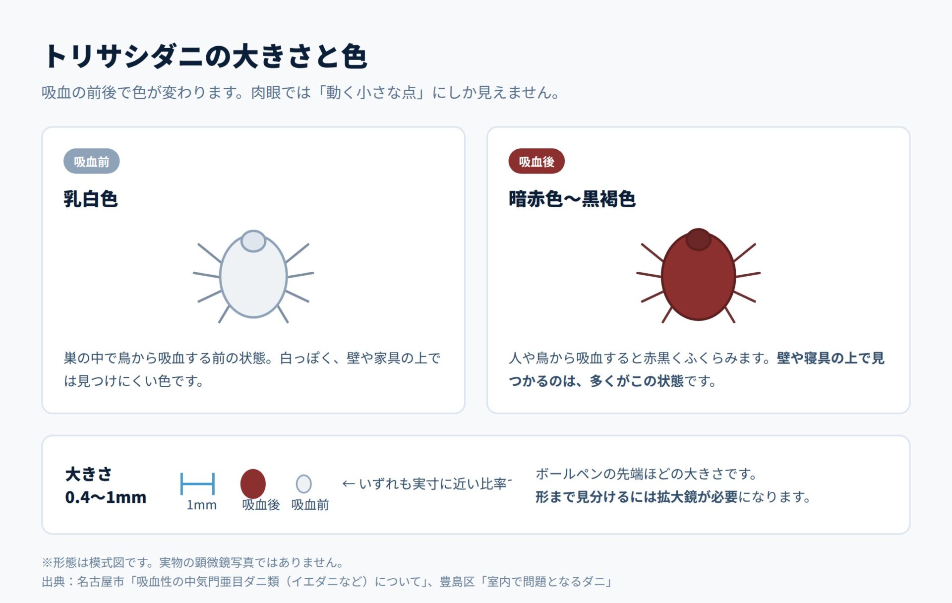 トリサシダニの大きさと色。吸血前は乳白色、吸血後は暗赤色
