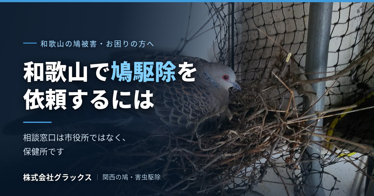 和歌山で鳩駆除を依頼するには