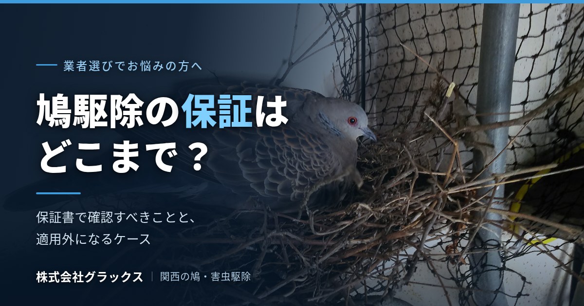 鳩駆除の保証はどこまで?