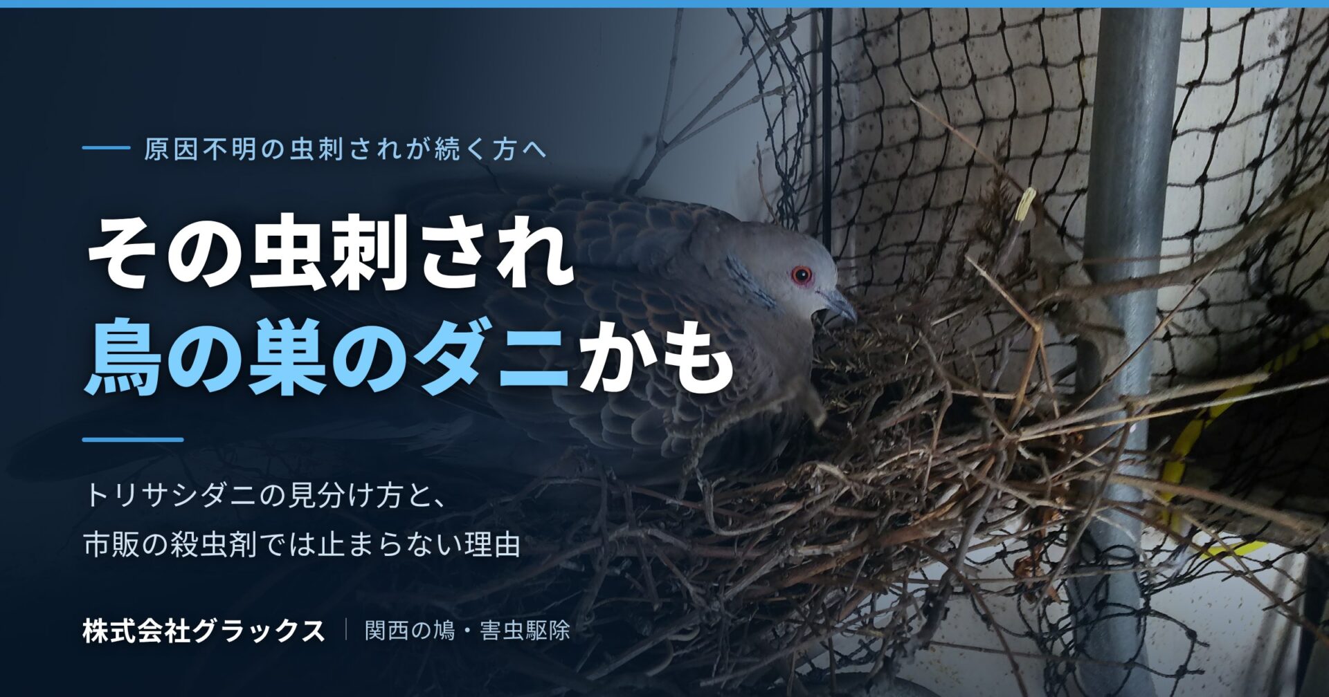 トリサシダニによる原因不明の虫刺され