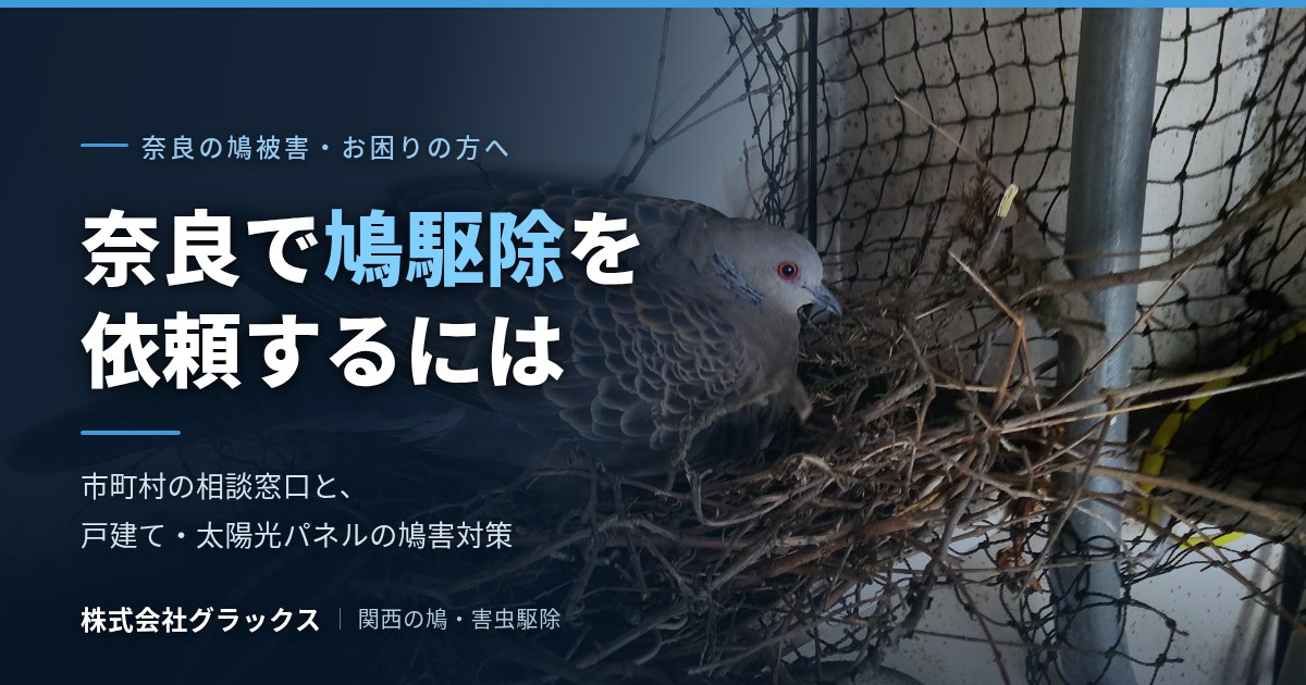 奈良で鳩駆除を依頼するには