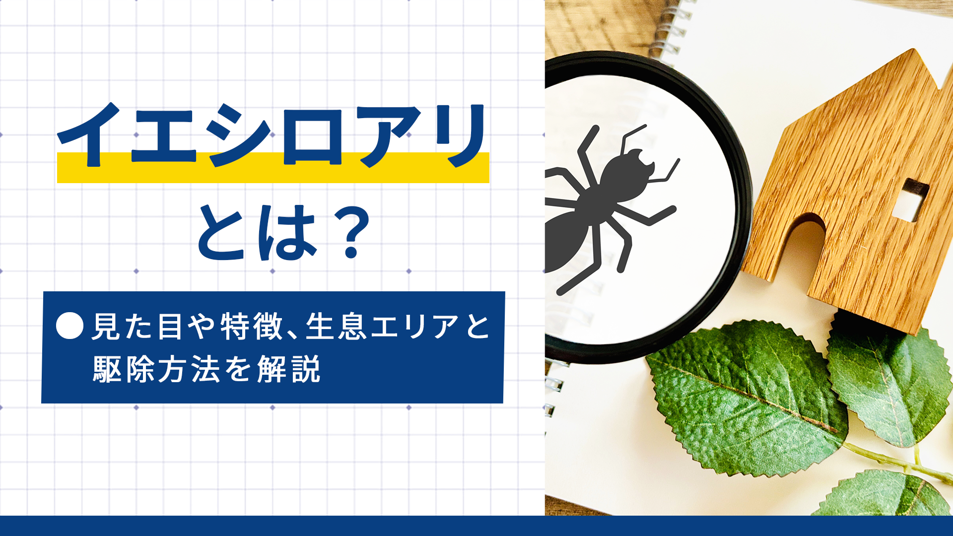 イエシロアリとは?