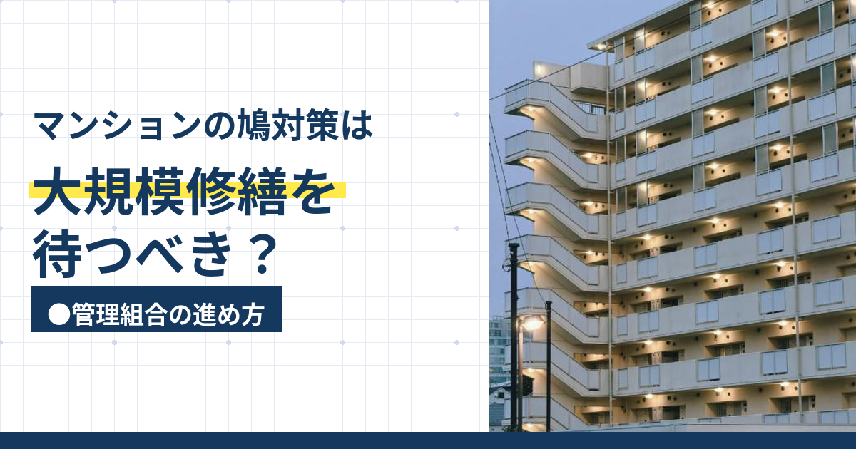 マンションの鳩対策は大規模修繕を待つべき？管理組合の進め方